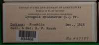 Image Associated With the Occurence